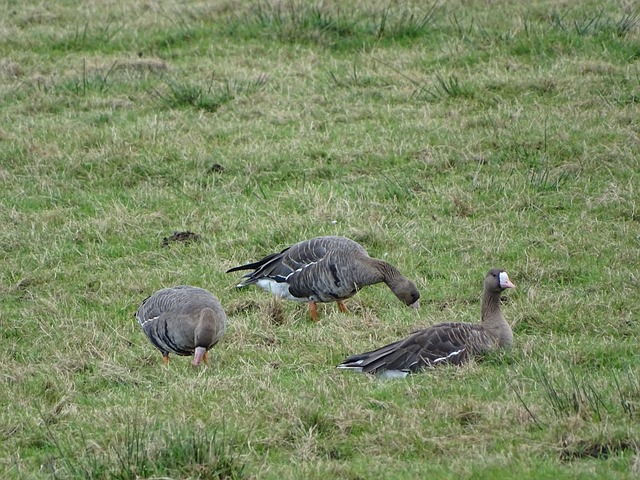 中国队需要 中国队需要