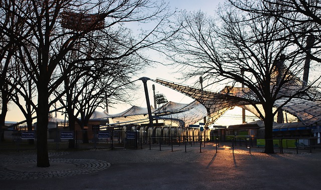 被分到了 被分到了