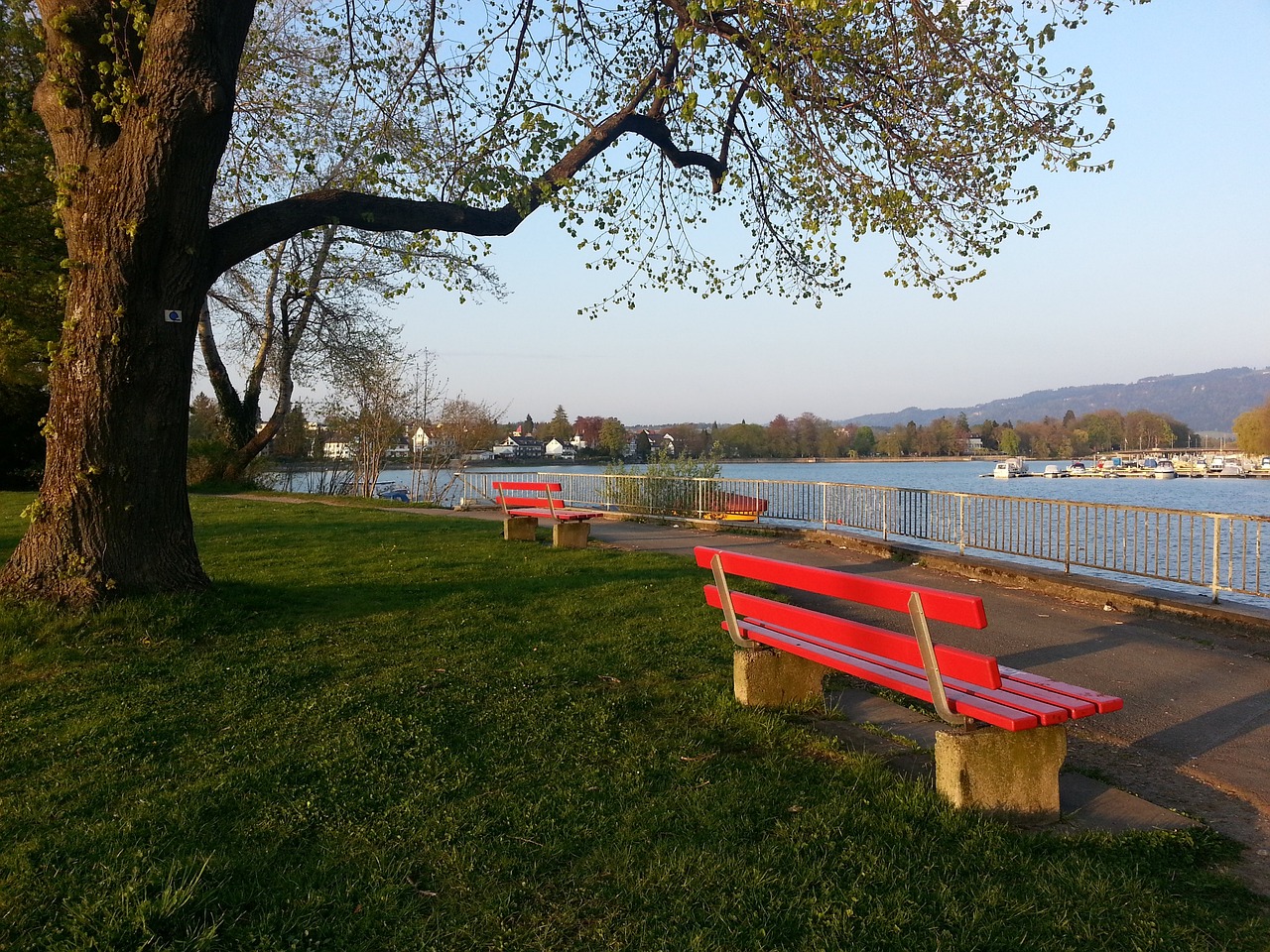 在比赛中变 在比赛中变