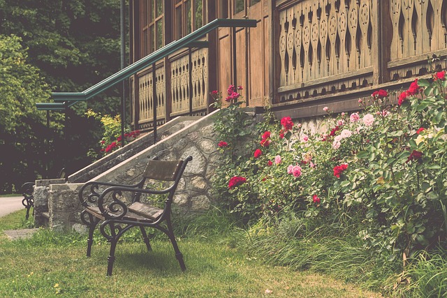 的中坚力量 的中坚力量