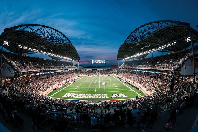 和球迷的批 和球迷的批